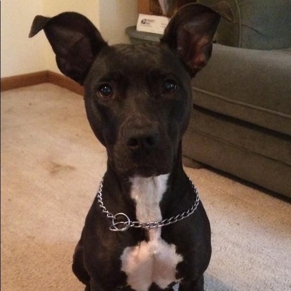 Meet your Posher, Brian - Picture 3 of 3